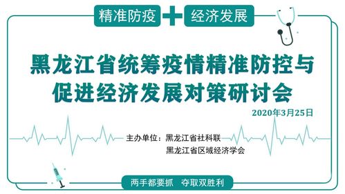 黑龙江省统筹疫情精准防控与促进经济发展 对策研讨会顺利召开